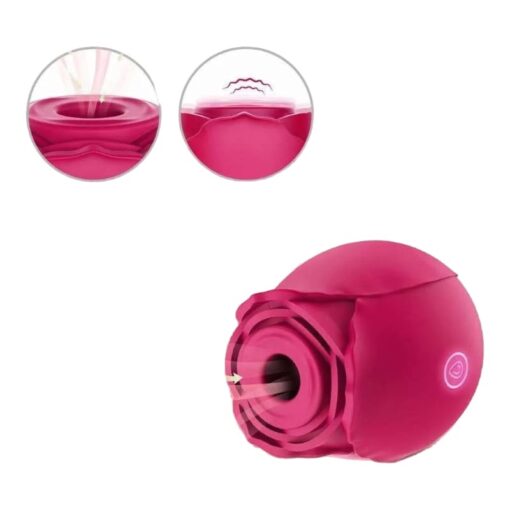 Rosa Succión Vibradora Single Ross